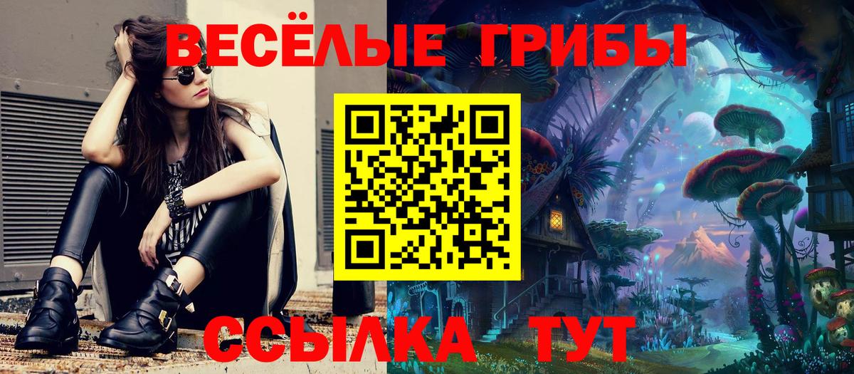 Псилоцибиновые грибы MAGIC MUSHROOMS  Вход с VPN  Краснокаменск 